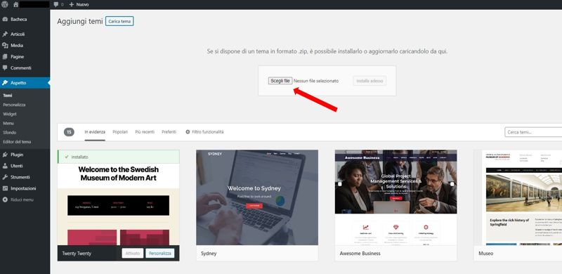 WeMaxe Installare Tema Divi in WordPress